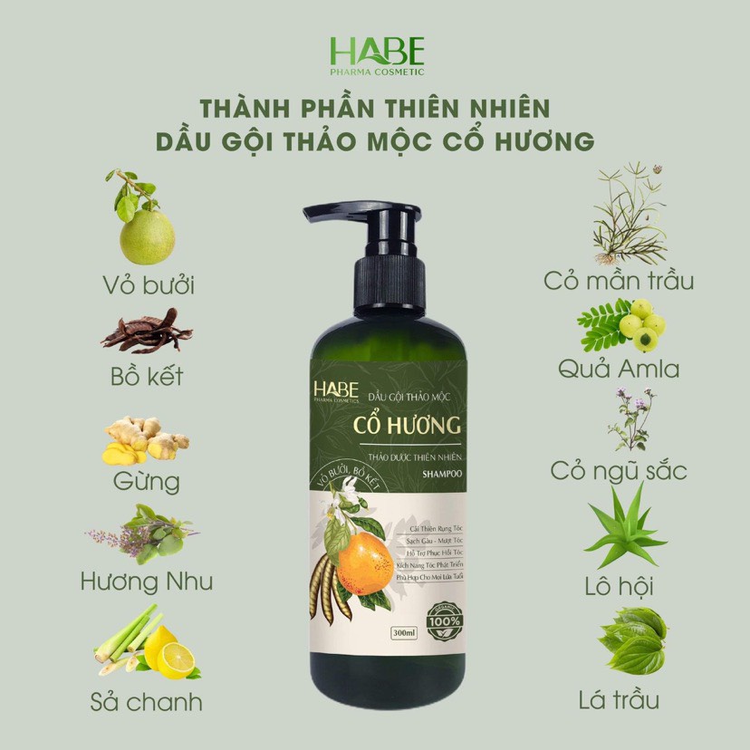 CHIA SẺ] 7 loại dầu gội thảo dược trị rụng tóc tốt nhất hiện nay – Công Ty  Cổ Phần Sao Thái Dương