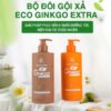 Dầu Gội Eco Ginkgo Extra Thanh Mộc Hương 500ml Chính Hãng